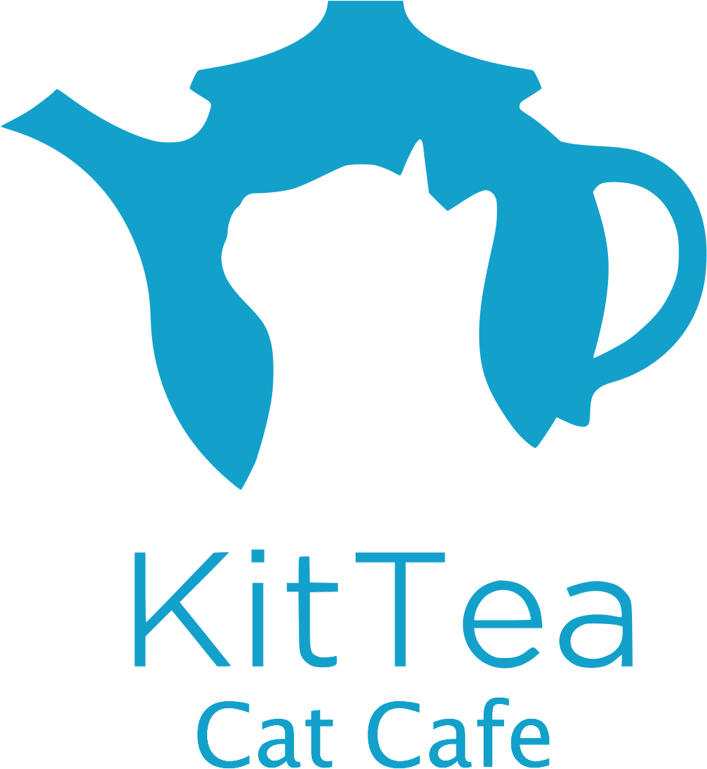 Photo Of "hocus Pocus" Viewing - Cat Cafe (1221x1305), Png Download