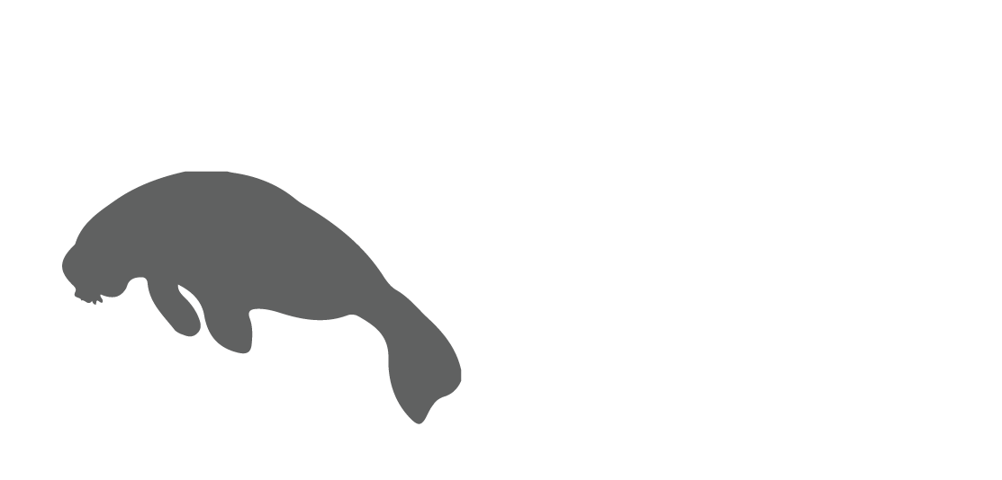 Manatee Pass - Puma (1128x579), Png Download