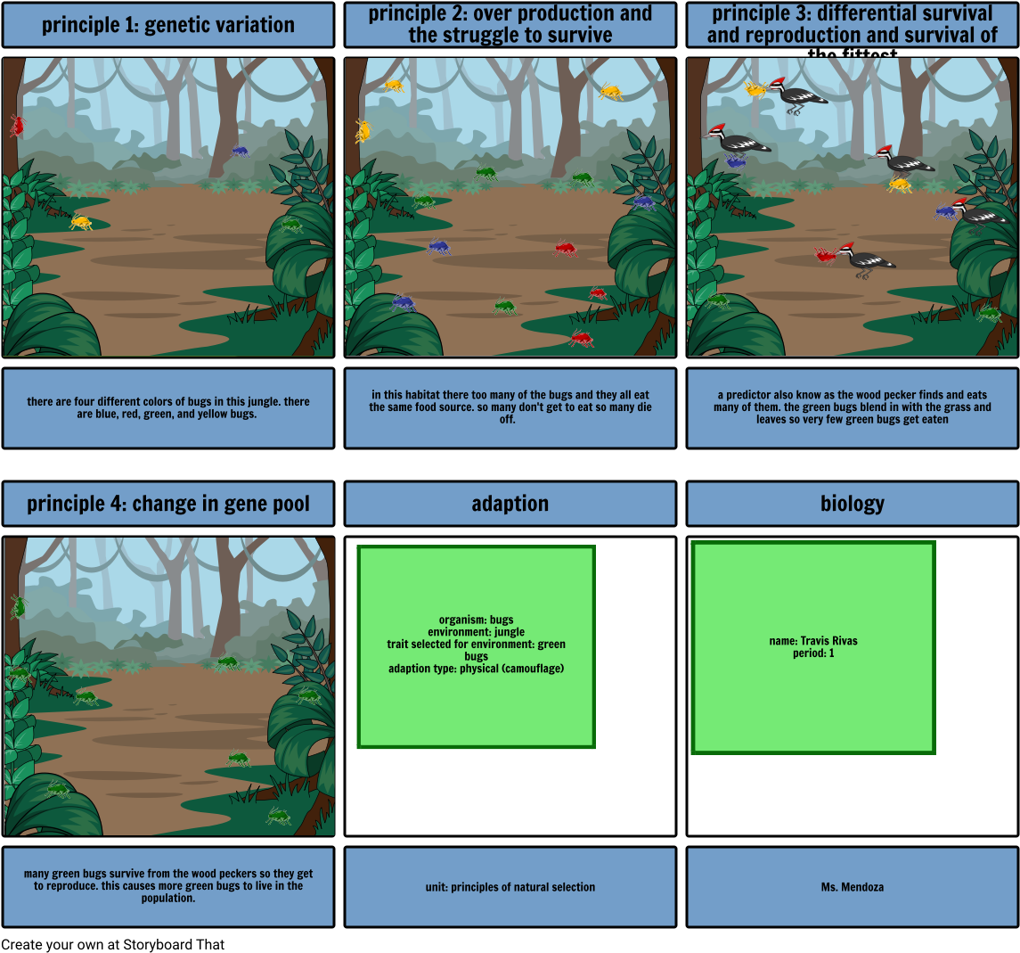 Bug Survival - Lionblaze And Cinderheart Kits (1164x1086), Png Download