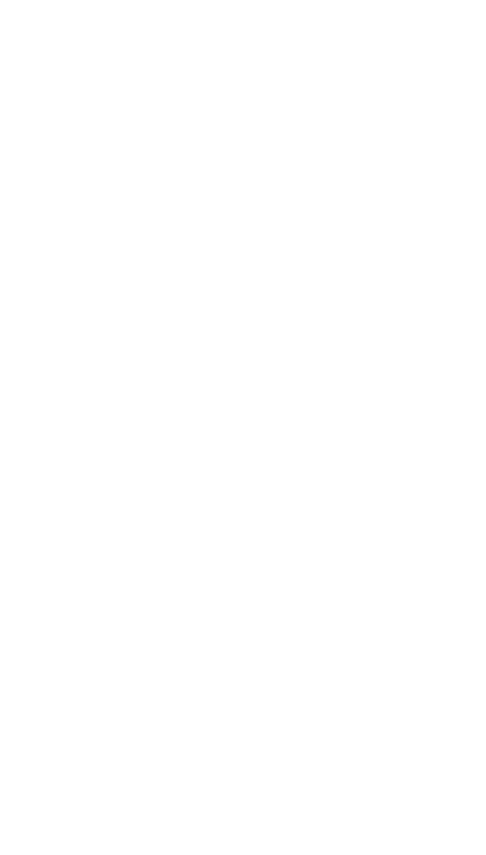 Wedding Veil Png - Wedding Veil Free Png (518x905), Png Download