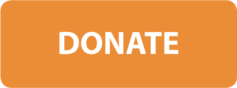 Donate Button 32pt Bold - Apply Now Button Orange (1008x443), Png Download