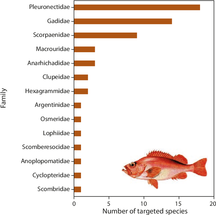 Number Of Commercially Targeted Fish Species By Family - Red Snapper (714x709), Png Download