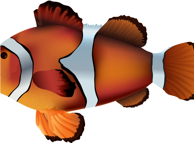 Clownfish Adorable Free On Dumielauxepices Net Onyx - Clown Fish Png (640x480), Png Download