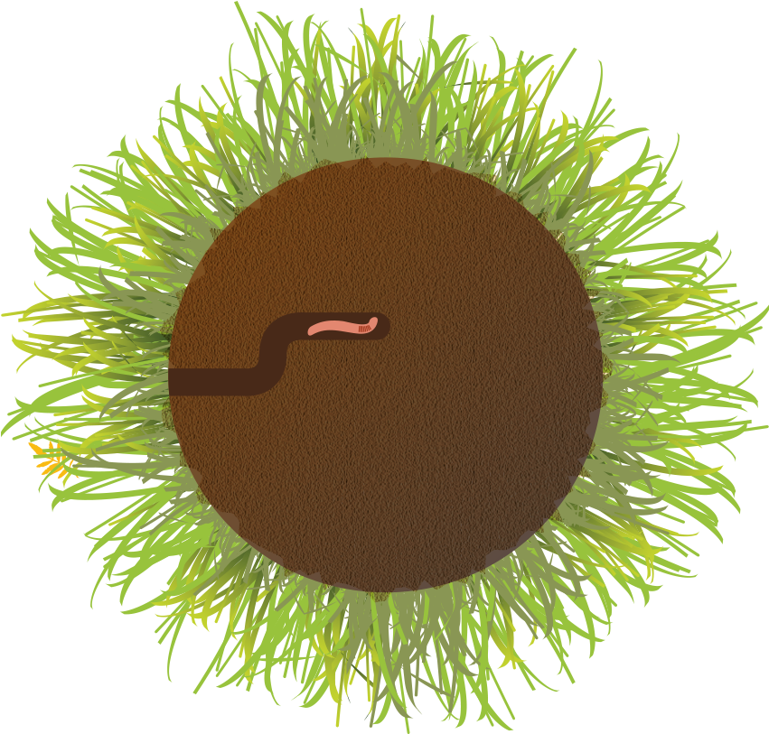 Provide It - Grass (1400x1400), Png Download