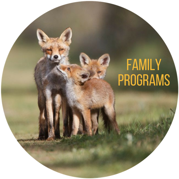 Event & Program Calendar - Happy Animal Family (768x768), Png Download