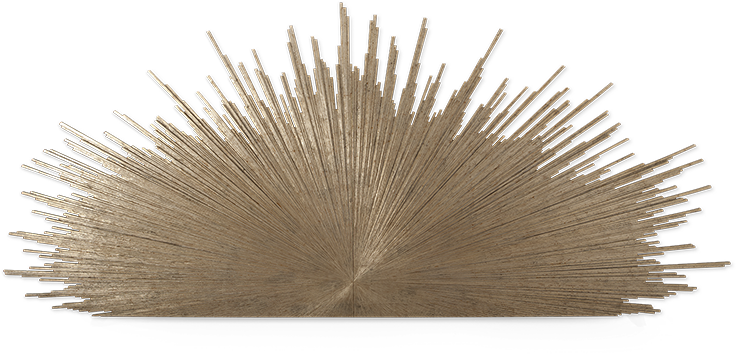 Pond Pine (800x800), Png Download