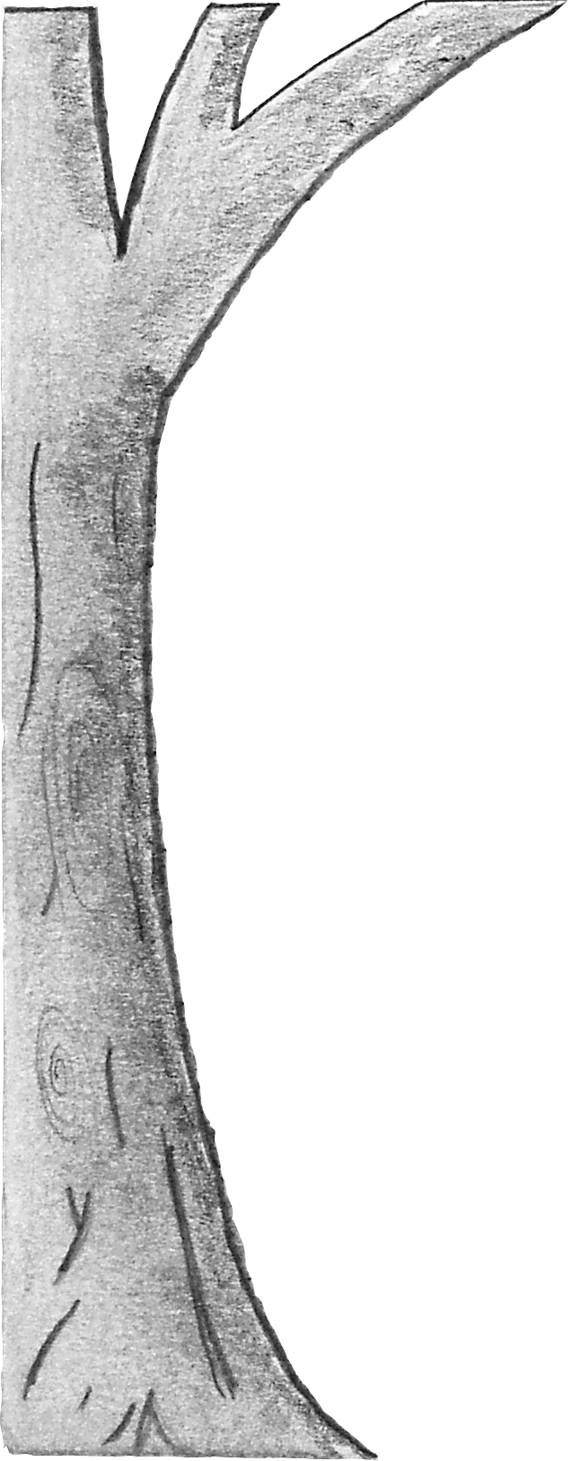 Want To Tell Your Story - Sketch (637x1625), Png Download