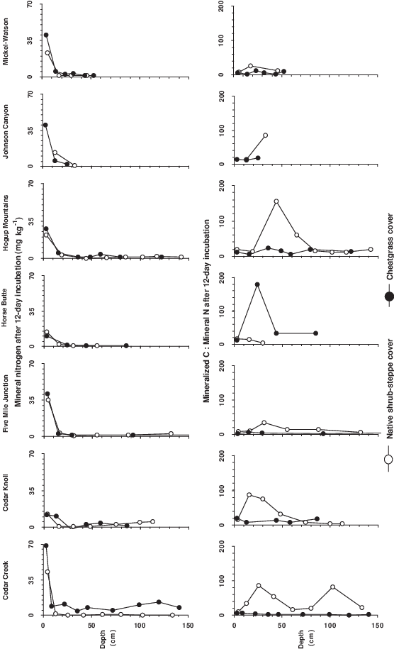 Concentration Of Active Pool N And Active Pool C - Diagram (556x915), Png Download