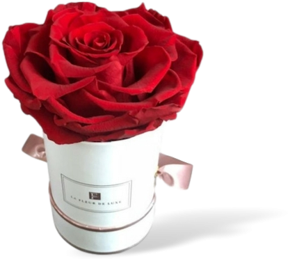 Garden Roses (600x700), Png Download