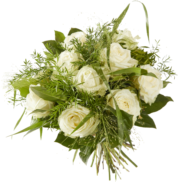 Valentines Day 14 February Roses, Chocolates, Champagne - Rose (600x600), Png Download