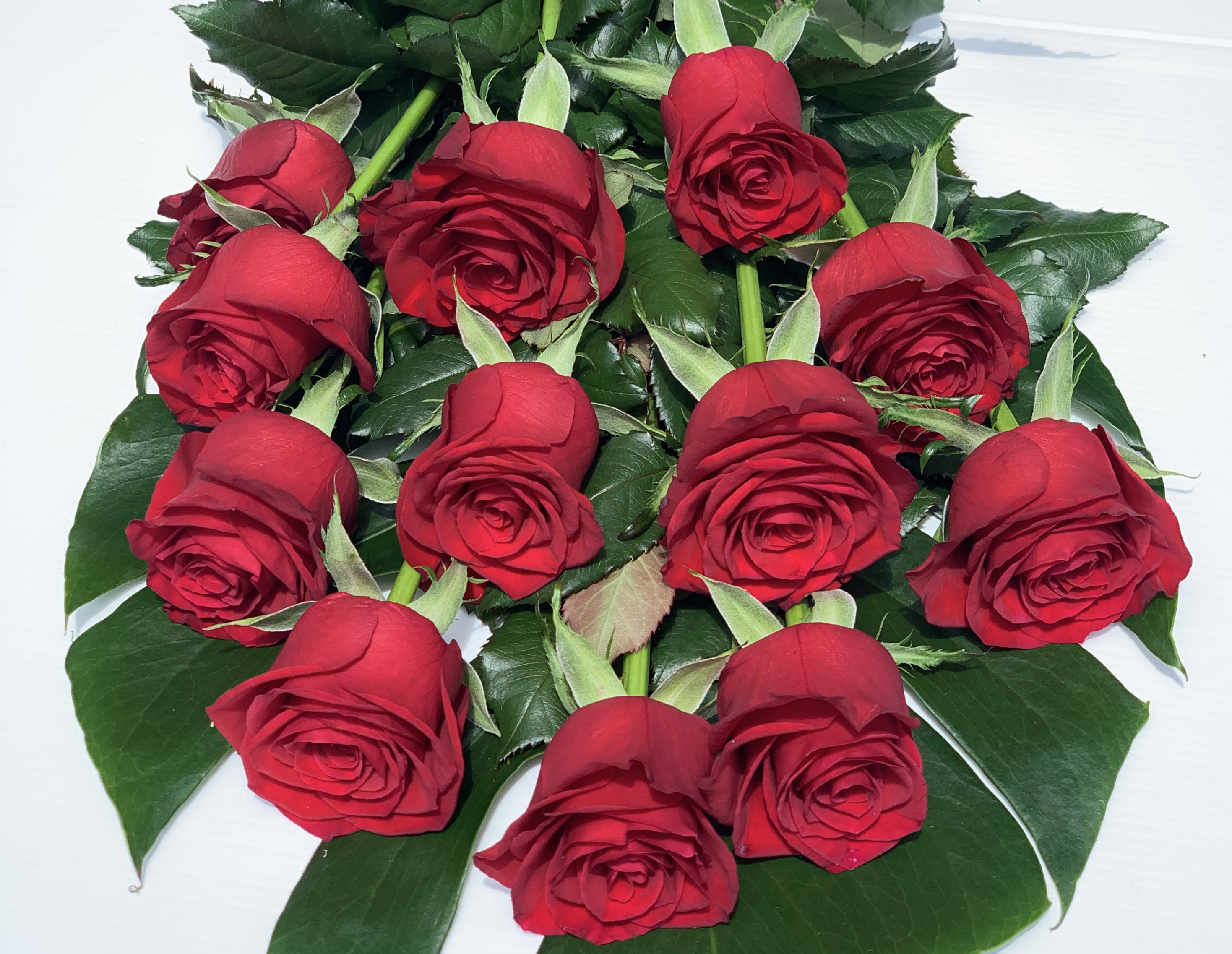 Presentation Valentine's Bouquet - Floribunda (2936x2963), Png Download