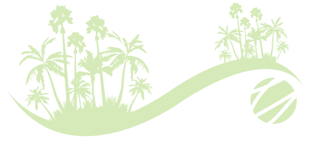 Compare Florida Insurance - Sabal Minor (1024x461), Png Download