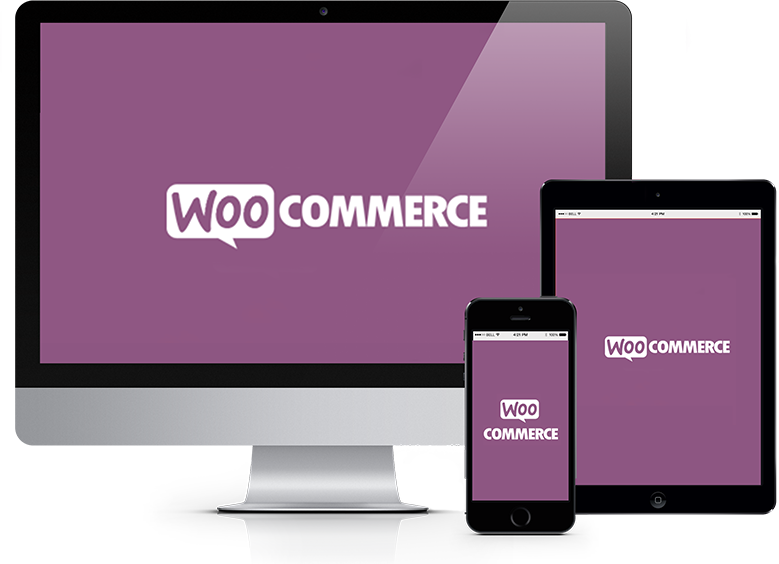 Woocommerce Ecommerence - Template One Page Radio (779x564), Png Download