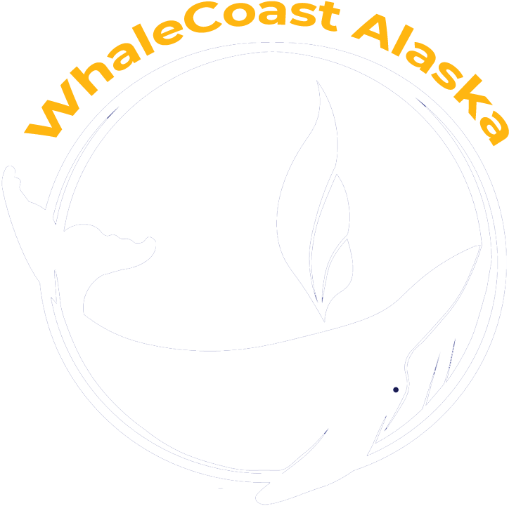 Contact Us - Illustration (800x900), Png Download