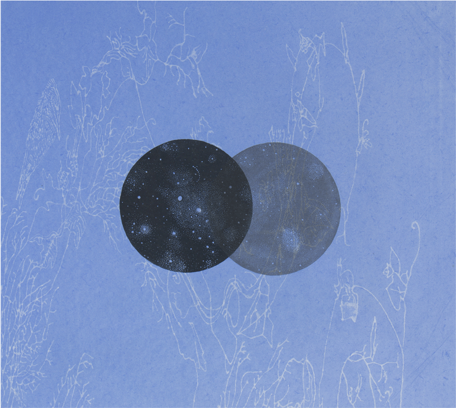 Valerie Hammond - Circle (896x1000), Png Download