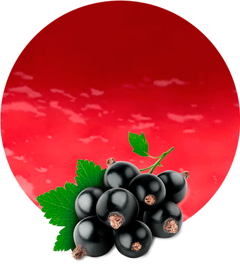 Blackcurrant Pomace - Black Currant Fruit Png (536x595), Png Download