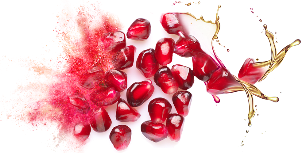 Bulk Supply & Manufacture Of Pomegranate Seed Oil & - Pomegranate Seed Oil Png (1476x529), Png Download