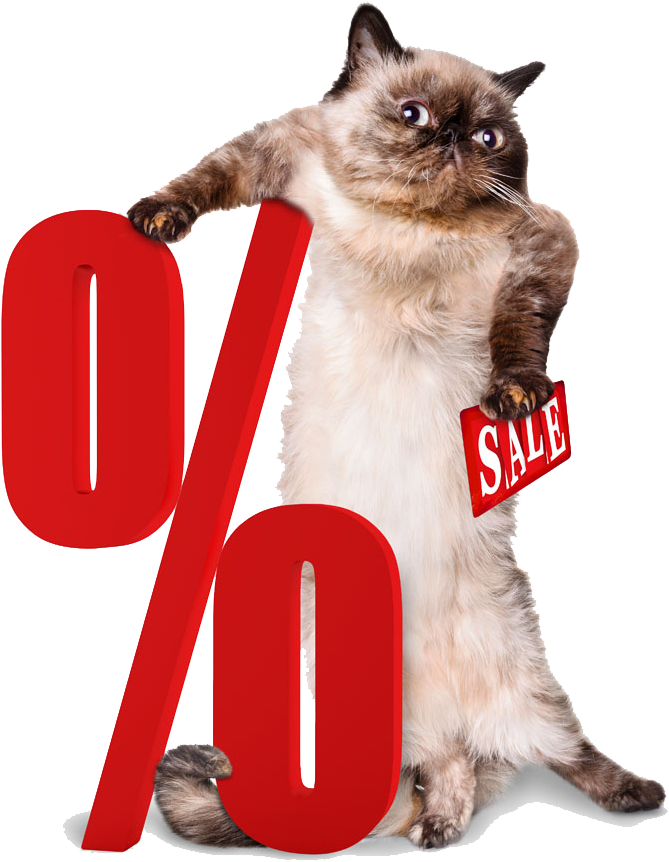 Percentage Png Clipart - Cat With A Suitcase (892x1000), Png Download