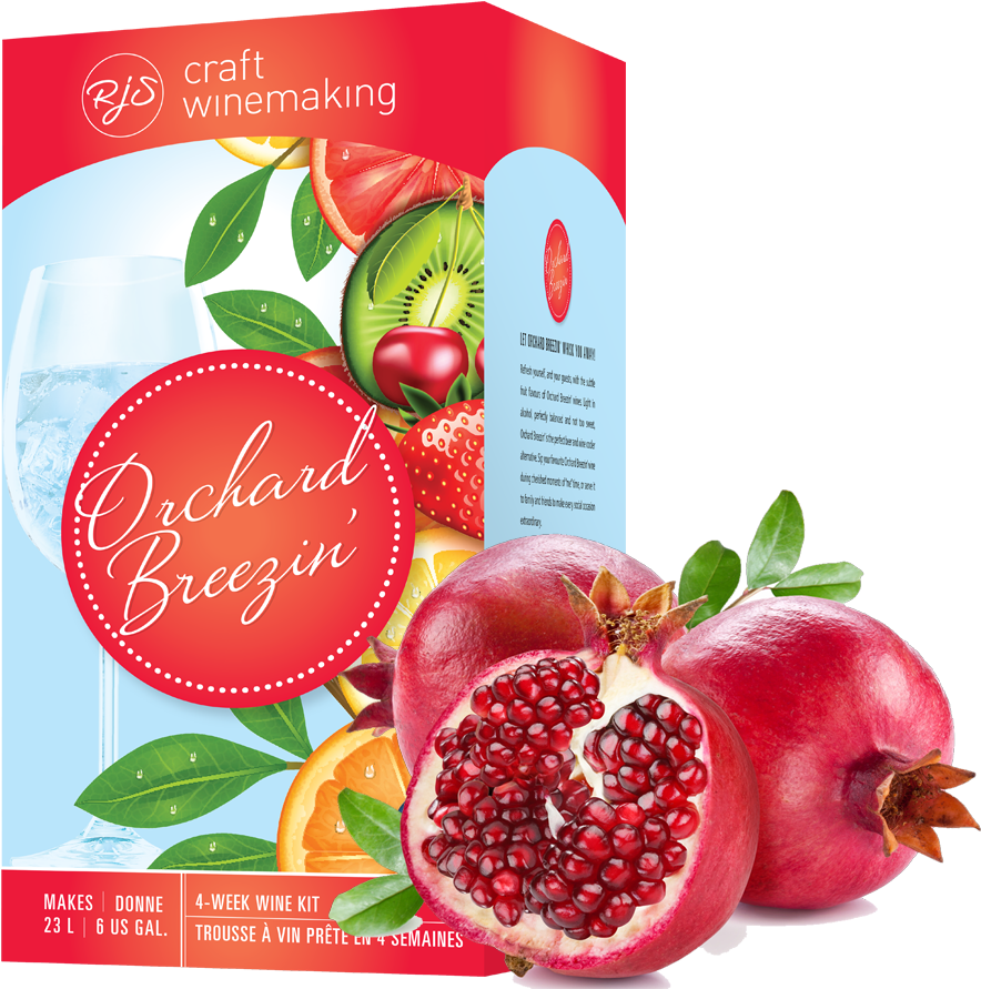 Pomegranate Study (1000x1000), Png Download