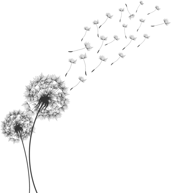 672 X 671 5 - Diente De Leon Dibujo (672x671), Png Download