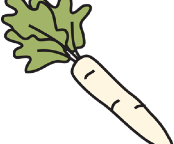 Radish Clipart (640x480), Png Download