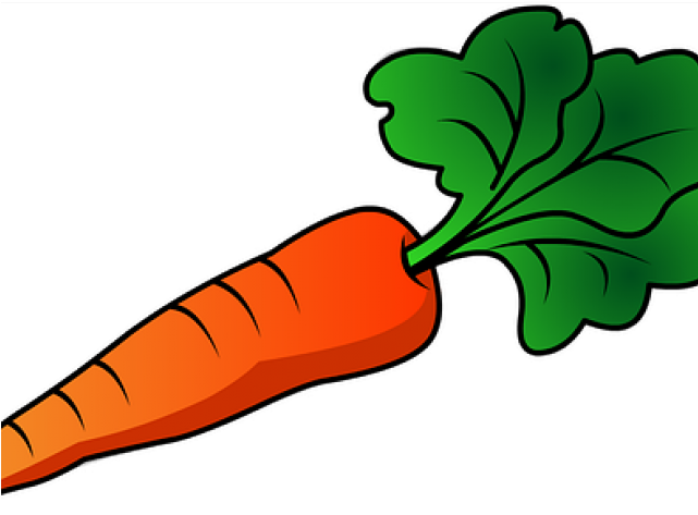 Radish Clipart Vegetable Leave - Carrot Clipart Png (640x480), Png Download
