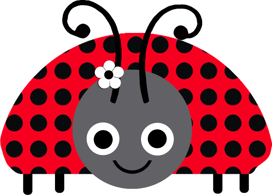 900 X 646 5 - Ladybird Beetle (900x646), Png Download