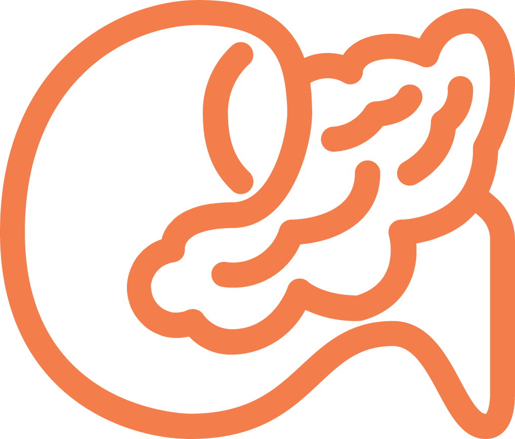 Pancreas Ecm Cell Culture Substrates - Illustration (1018x868), Png Download