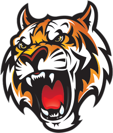 Tiger Head Png - Fleetwood High School Mascot (600x600), Png Download