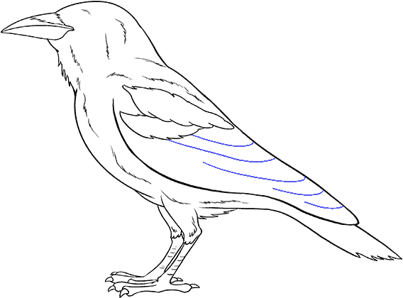 How To Draw A Step By Tutorial - Sketch (678x600), Png Download