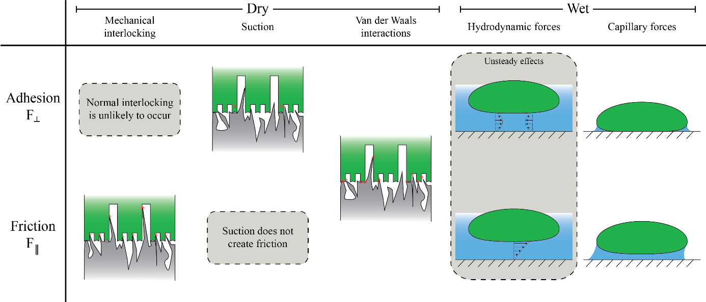 Overview Of The Mechanisms Which May Contribute To - Diagram (1386x594), Png Download