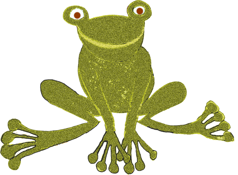 Frog - Pine Barrens Treefrog (800x587), Png Download