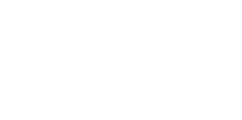 Free Png Download Lace Flower Clipart Png Photo Png - Lace Flower Transparent Png (850x428), Png Download