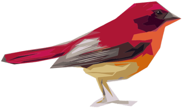 Sparrow Png Transparent Images - Five Different Type Of Bird (640x480), Png Download