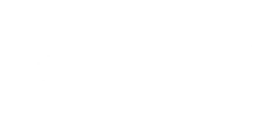 Free Png Download Decorative Corner Element Transparent - Illustration (850x396), Png Download