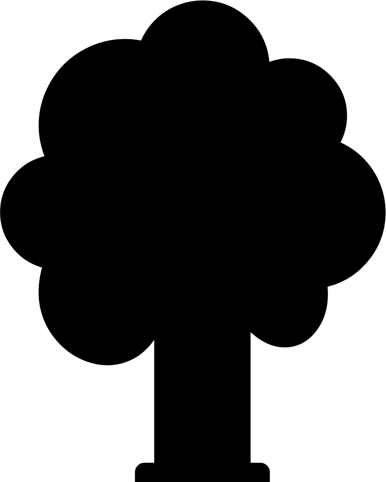 Tree Deciduous Comments (785x981), Png Download