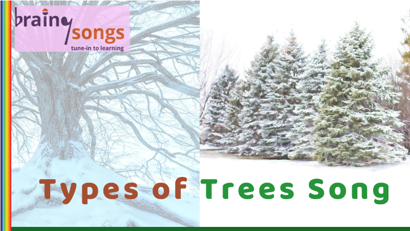 Types Of Trees For Year 1 By Jrdb - 凡 勞苦 擔 重擔 的 人 (800x600), Png Download
