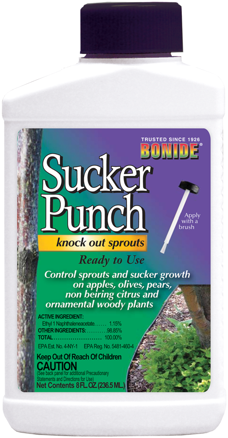 Bonide Sucker Punch - Grass (469x900), Png Download