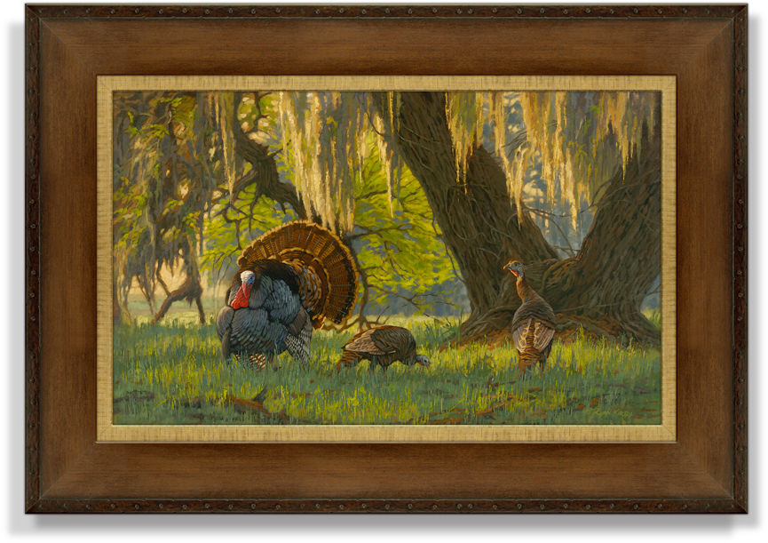 "boss Of The Moss" Artist's Proof Canvas Giclée (900x900), Png Download