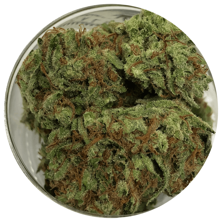 Devils Fruit - Moss (770x770), Png Download