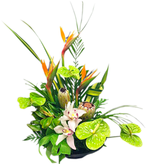 Tropical Green - Bouquet (600x600), Png Download