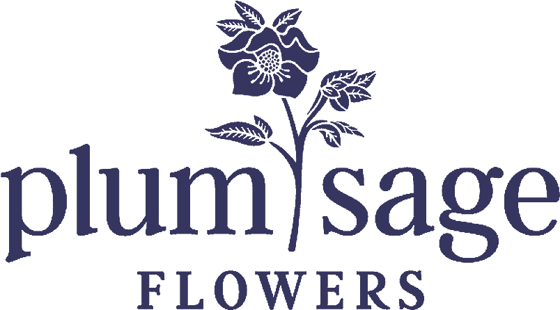 Plum Sage Flowers - Calligraphy (899x600), Png Download
