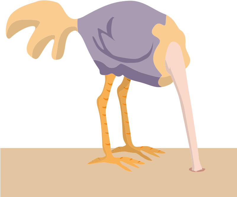 Png Transparent Stock With Clip Art Crazywidow Info - Common Ostrich (800x800), Png Download