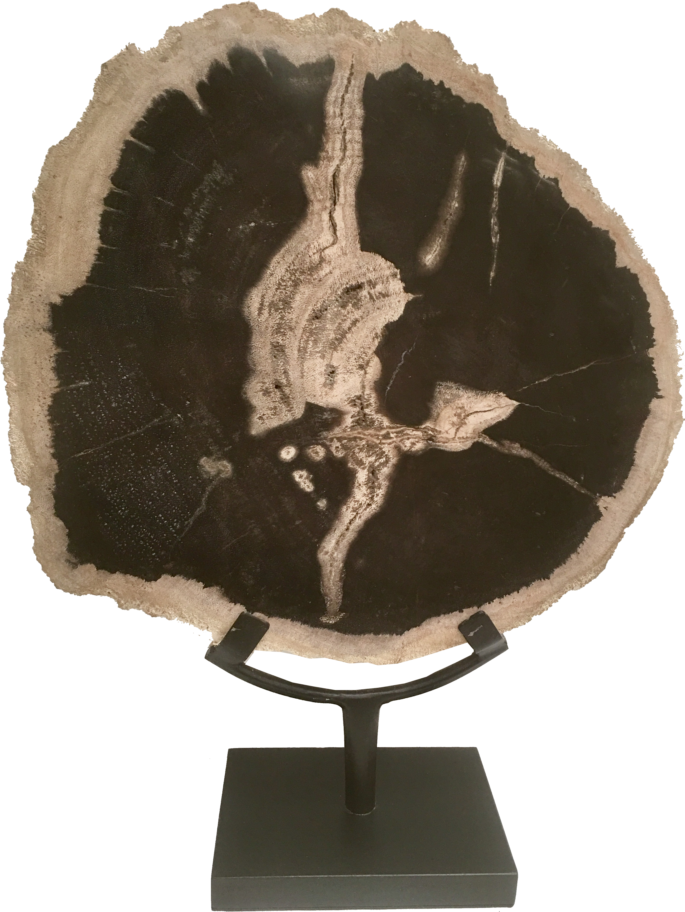 Trophy (2948x4032), Png Download
