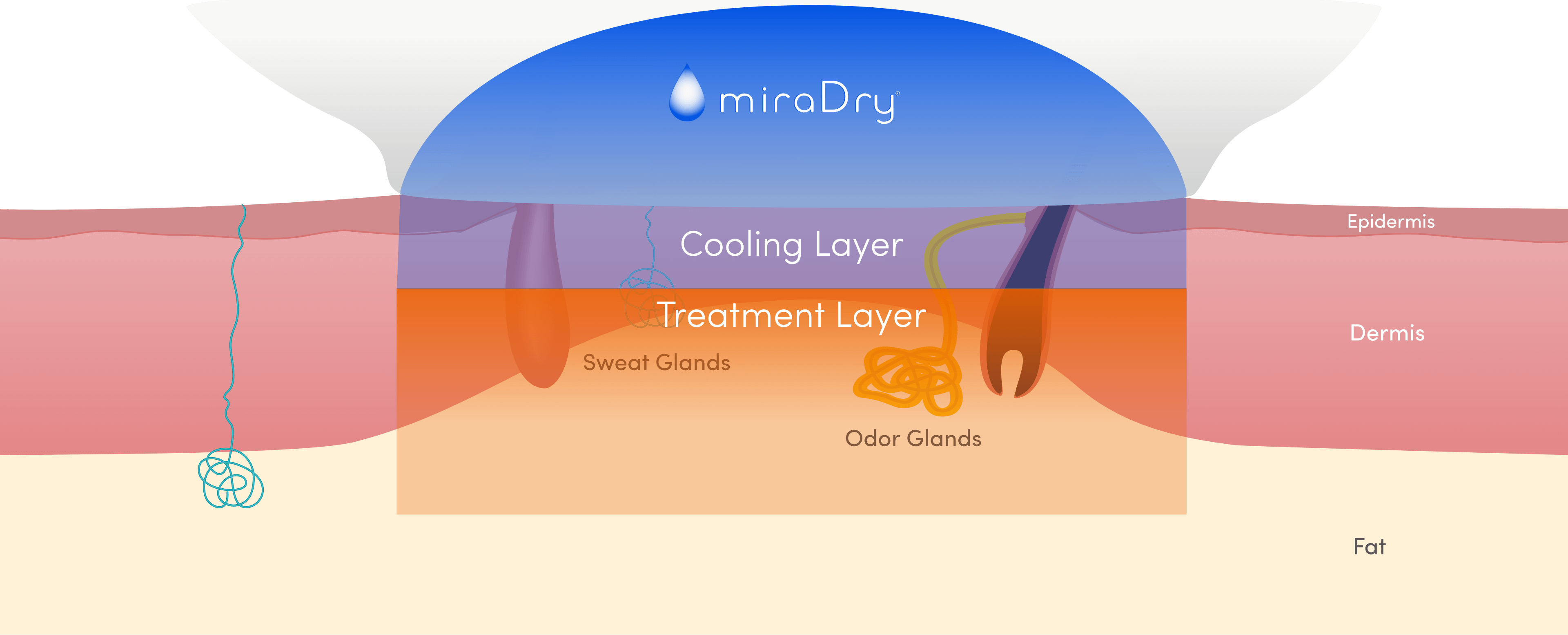 Finally, Thermal Energy Is Delivered And The Sweat - Graphic Design (3840x1554), Png Download