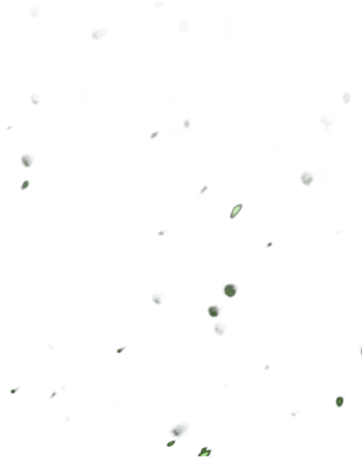 When You Train, Beads Of Sweat Fall From Your Skin - Wrapping Paper (537x738), Png Download