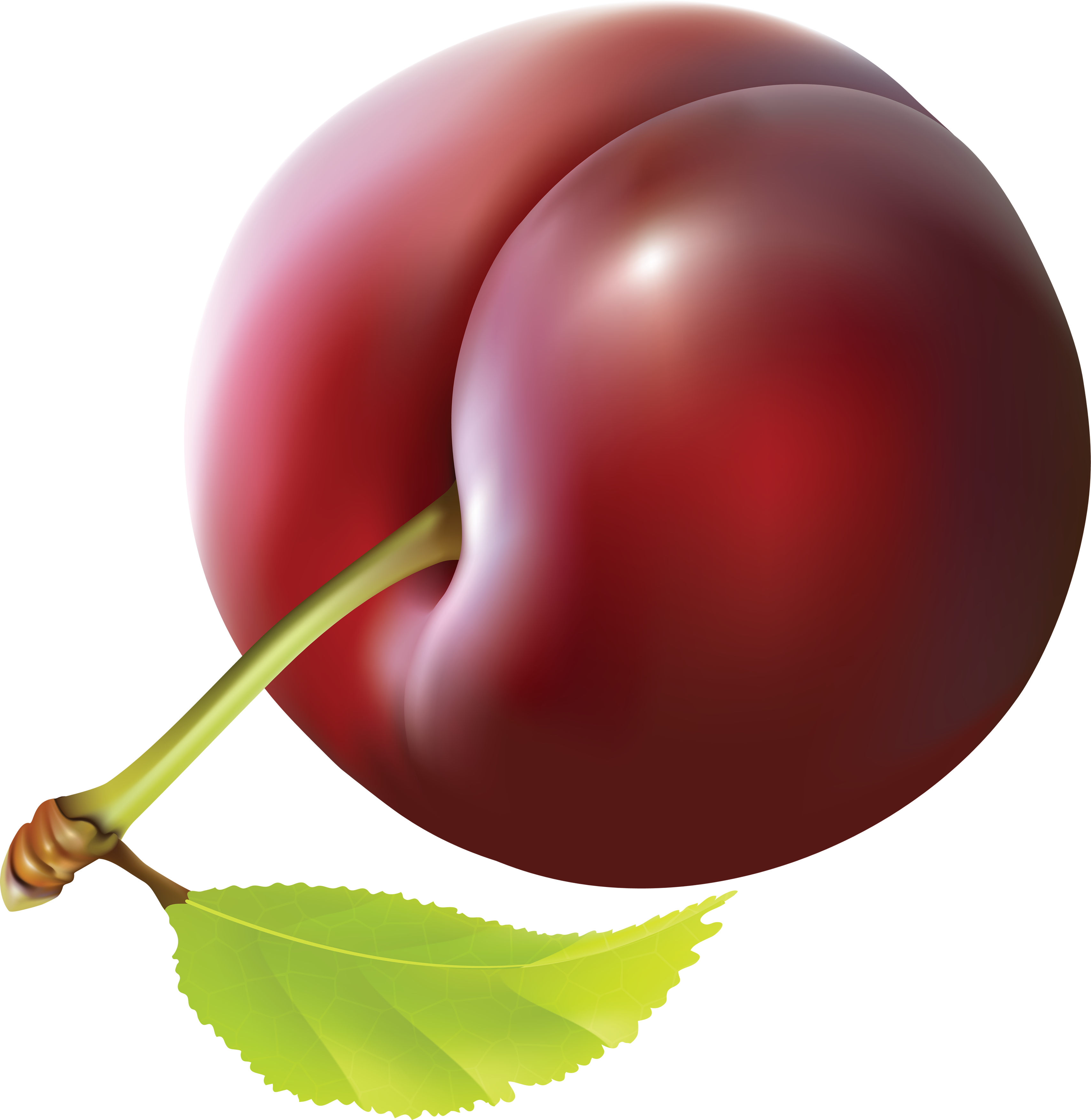 Plum - Clip Art Plum (3413x3504), Png Download