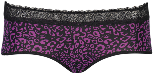 Lace Black & Plum Briefa26 2072black/plum - Florence Cathedral (850x787), Png Download