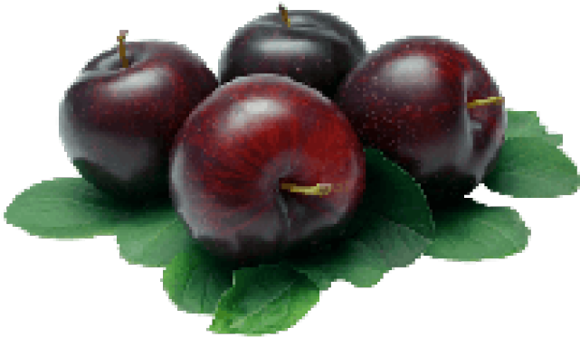 Plum Fruits Benefits (640x480), Png Download