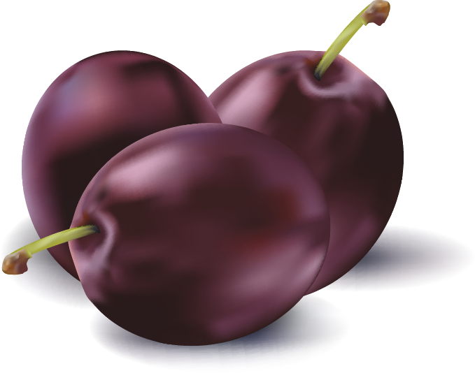 Orange Apple Apricot Cherry Plum Png Images - Fruits Vector (679x534), Png Download
